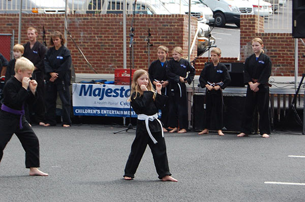 Kempo Karate Demo Kids Class Punching form