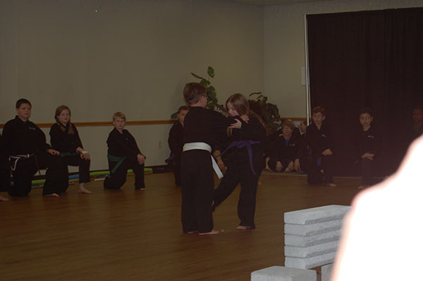 Kempo Karate Christmas Demo KIds class Self Defense