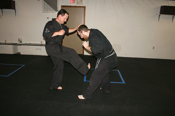 Kempo Karate snap kick
